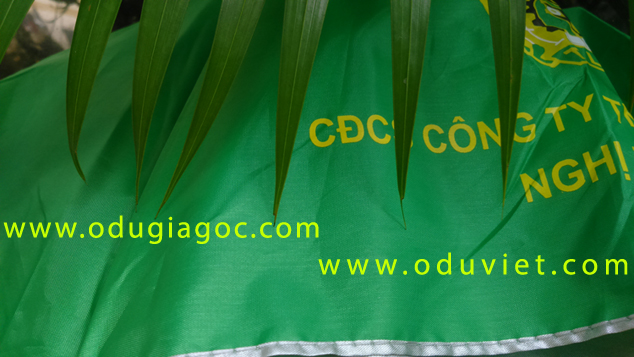 Du-chong-lat-o-chong-lat-du-2-tang-chong-lat-o-2-tang-chong-lat-du-vai-day-o-to-o-to-o-du-chong-lat-o-du-vai-cao-cap-8