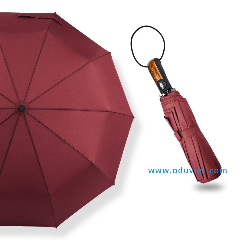 mẫu ô dù gấp 2 8 màu