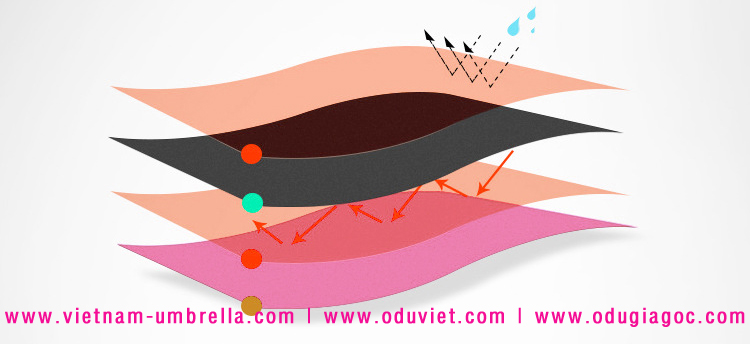 san_xuat_du_mo_nguoc_qua_tang